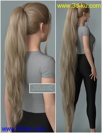 Turbulent Tail Hair for Genesis 3 and 8 Female(s)模型的图片36