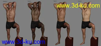 3D打印模型Ultimate Natural Bend Morphs for Genesis 8 Male的图片