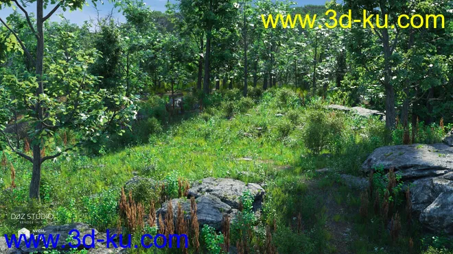 Valley and Hills模型的图片6