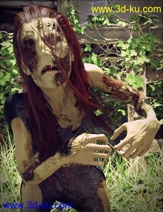 3D打印模型VYK Nome for Genesis 8 Female的图片