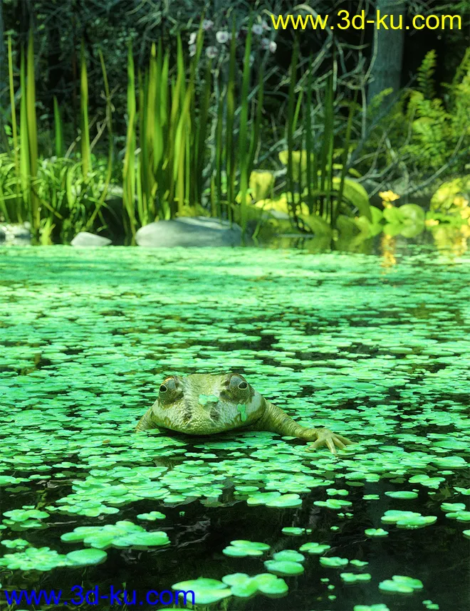 Wild Flowers - Water Plants Vol 2模型的图片1