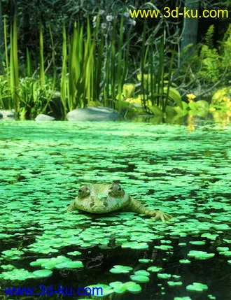 3D打印模型Wild Flowers - Water Plants Vol 2的图片