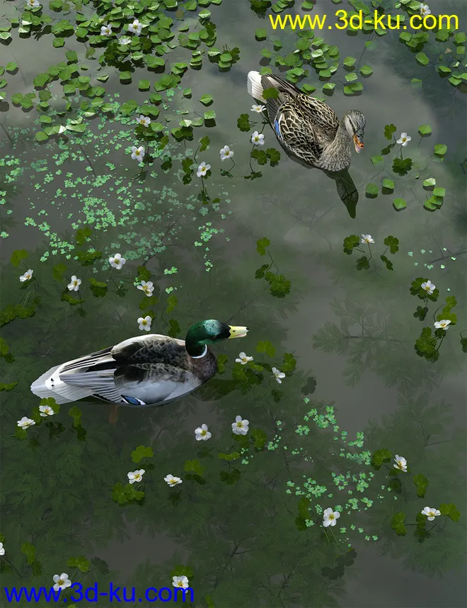 Wild Flowers - Water Plants Vol 2模型的图片2