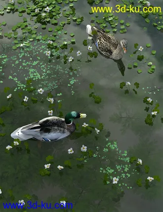 3D打印模型Wild Flowers - Water Plants Vol 2的图片