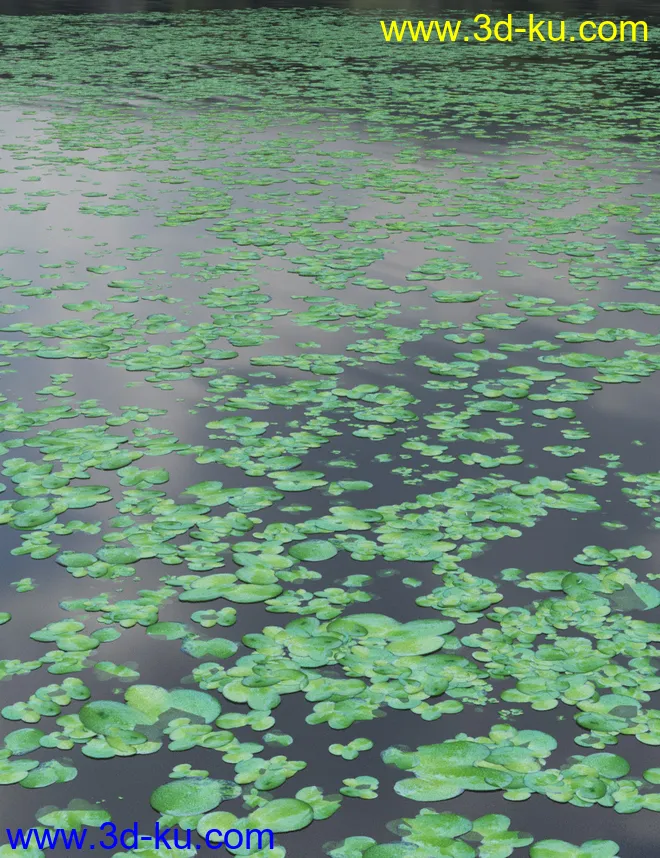 Wild Flowers - Water Plants Vol 2模型的图片8