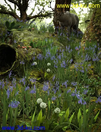 3D打印模型Wild Flowers Vol 5 - Woodland Plants的图片