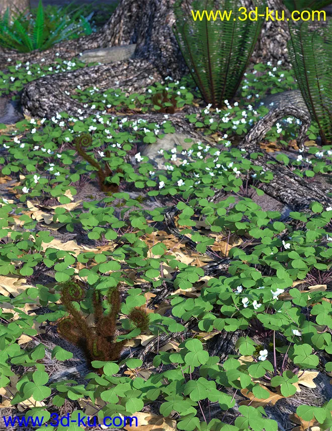 Wild Flowers Vol 5 - Woodland Plants模型的图片2