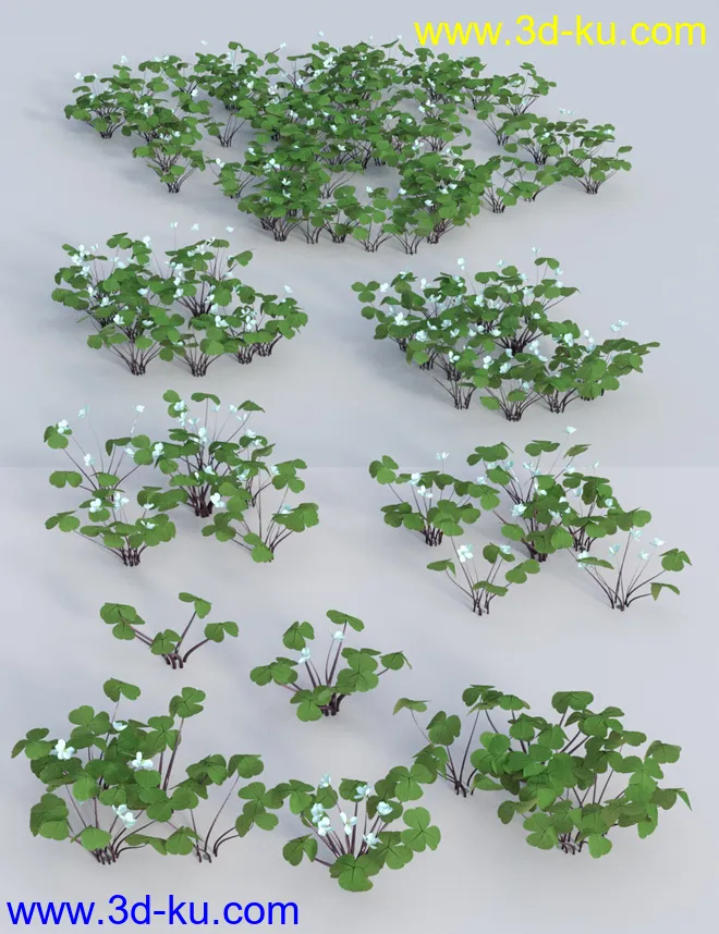 Wild Flowers Vol 5 - Woodland Plants模型的图片5