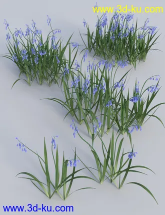 3D打印模型Wild Flowers Vol 5 - Woodland Plants的图片