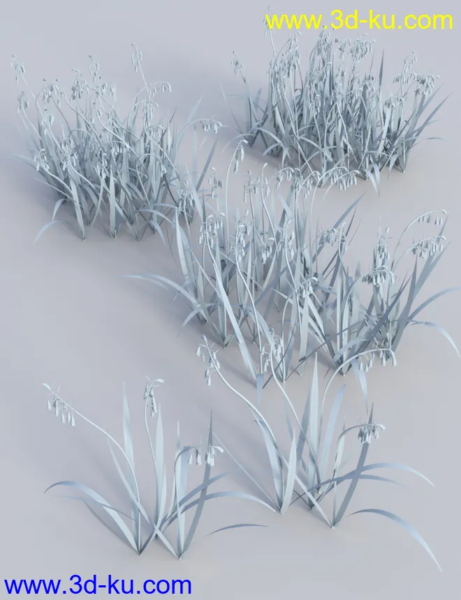 Wild Flowers Vol 5 - Woodland Plants模型的图片11