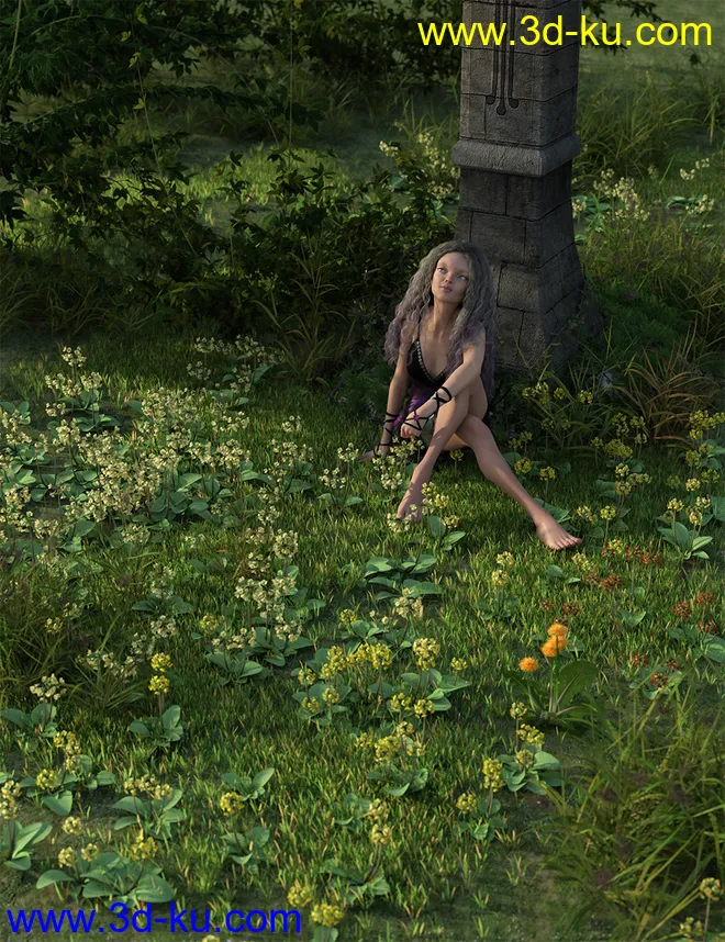 Wild Flowers Volume 9 Primulas (Wild and Cultivated)模型的图片2