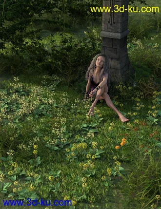 3D打印模型Wild Flowers Volume 9 Primulas (Wild and Cultivated)的图片