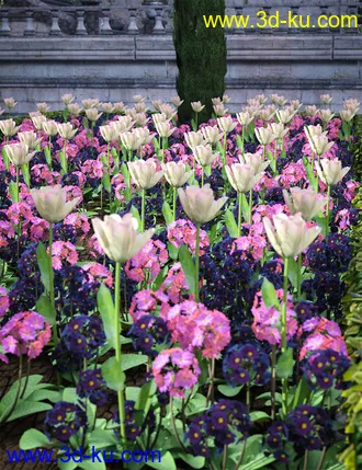 3D打印模型Wild Flowers Volume 9 Primulas (Wild and Cultivated)的图片