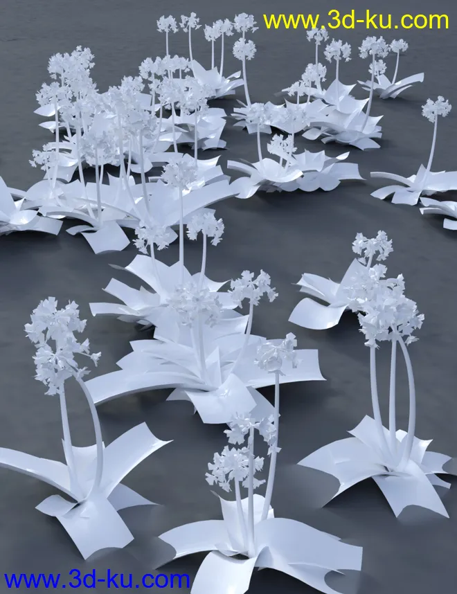 Wild Flowers Volume 9 Primulas (Wild and Cultivated)模型的图片7