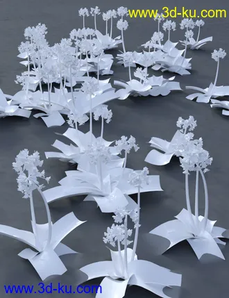 3D打印模型Wild Flowers Volume 9 Primulas (Wild and Cultivated)的图片