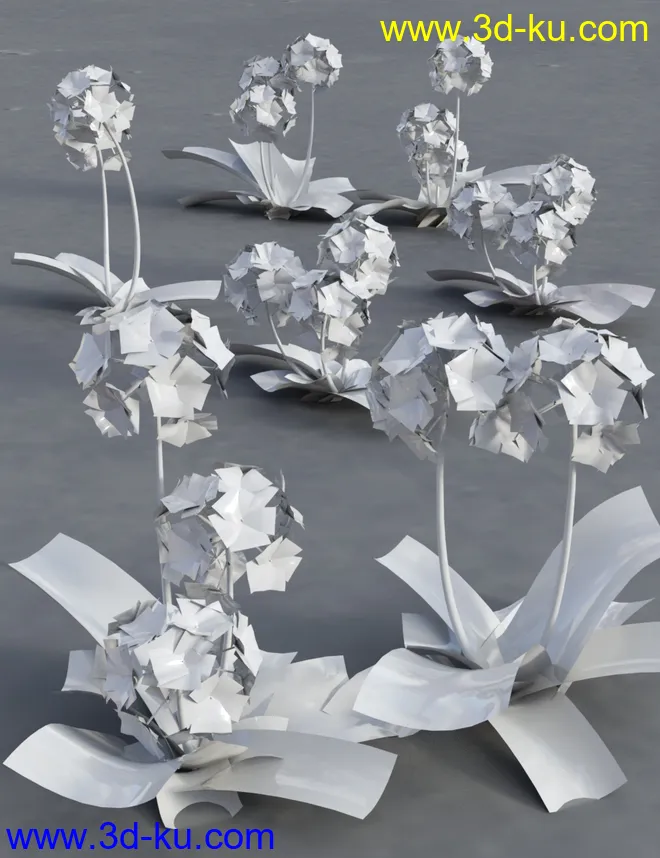 Wild Flowers Volume 9 Primulas (Wild and Cultivated)模型的图片8