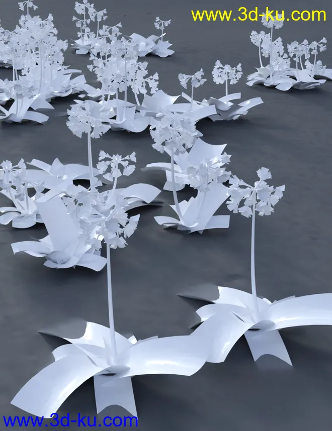 Wild Flowers Volume 9 Primulas (Wild and Cultivated)模型的图片9