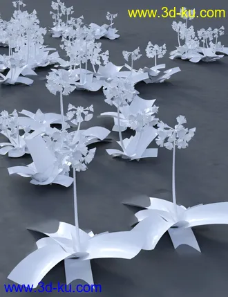 3D打印模型Wild Flowers Volume 9 Primulas (Wild and Cultivated)的图片