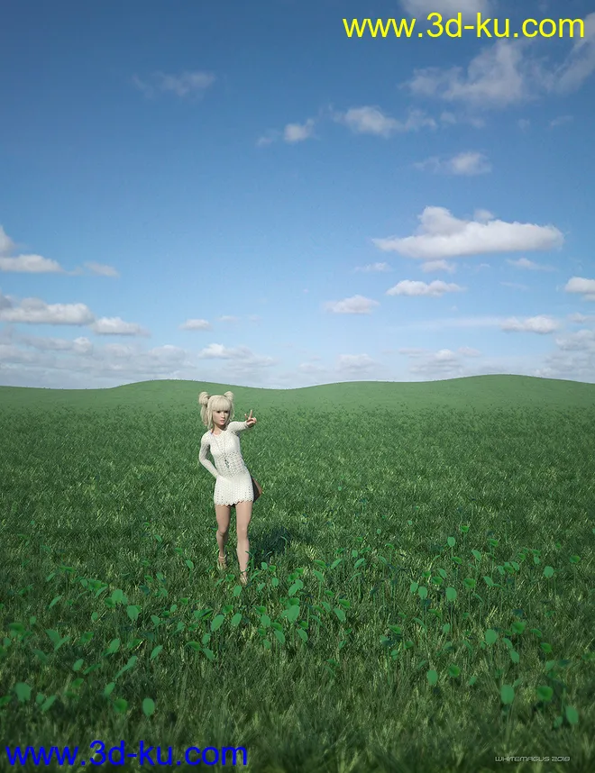 Wild Grass Hyper Kit模型的图片3