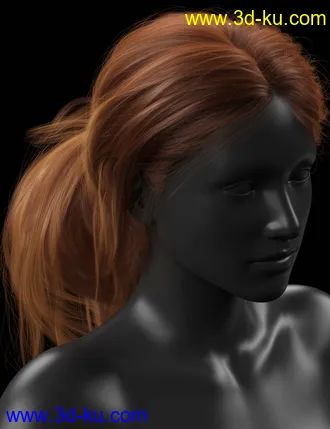 Wild Loop Tail Hair for Genesis 3 and 8 Female(s) and Male(s)模型的图片2