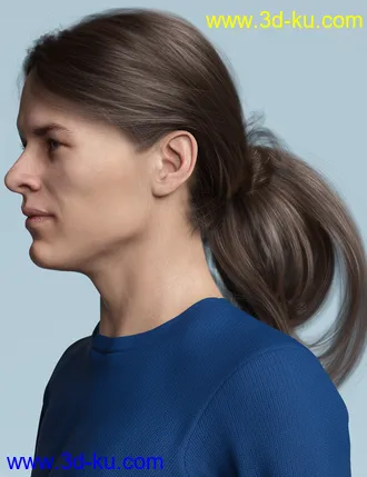 Wild Loop Tail Hair for Genesis 3 and 8 Female(s) and Male(s)模型的图片10