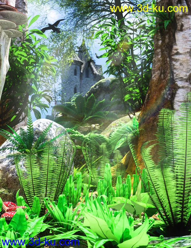 Wild Plants - Wild Ferns Volume 1模型的图片3