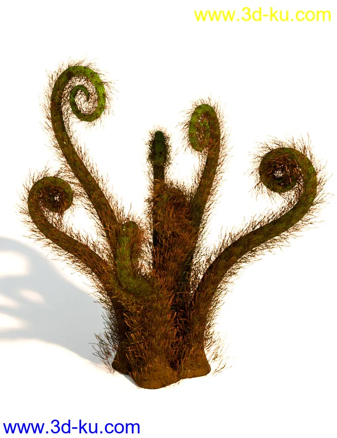 Wild Plants - Wild Ferns Volume 1模型的图片4