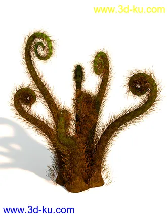 3D打印模型Wild Plants - Wild Ferns Volume 1的图片