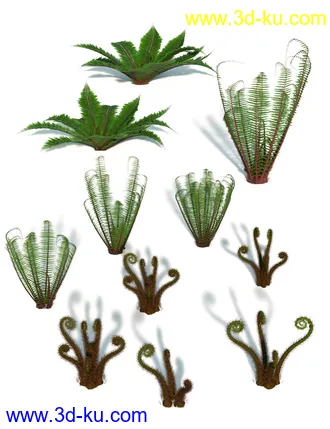 3D打印模型Wild Plants - Wild Ferns Volume 1的图片