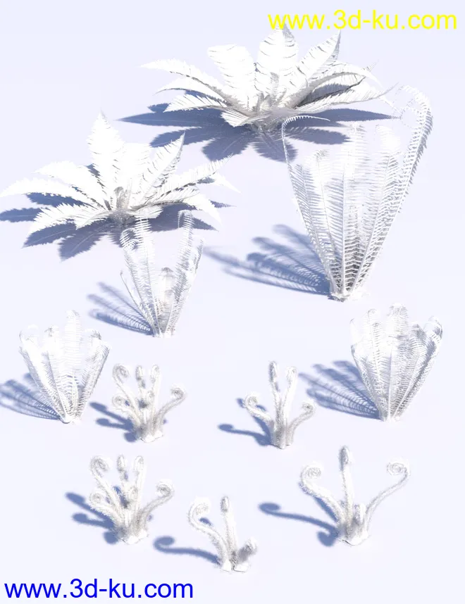 Wild Plants - Wild Ferns Volume 1模型的图片7