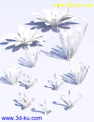 3D打印模型Wild Plants - Wild Ferns Volume 1的图片