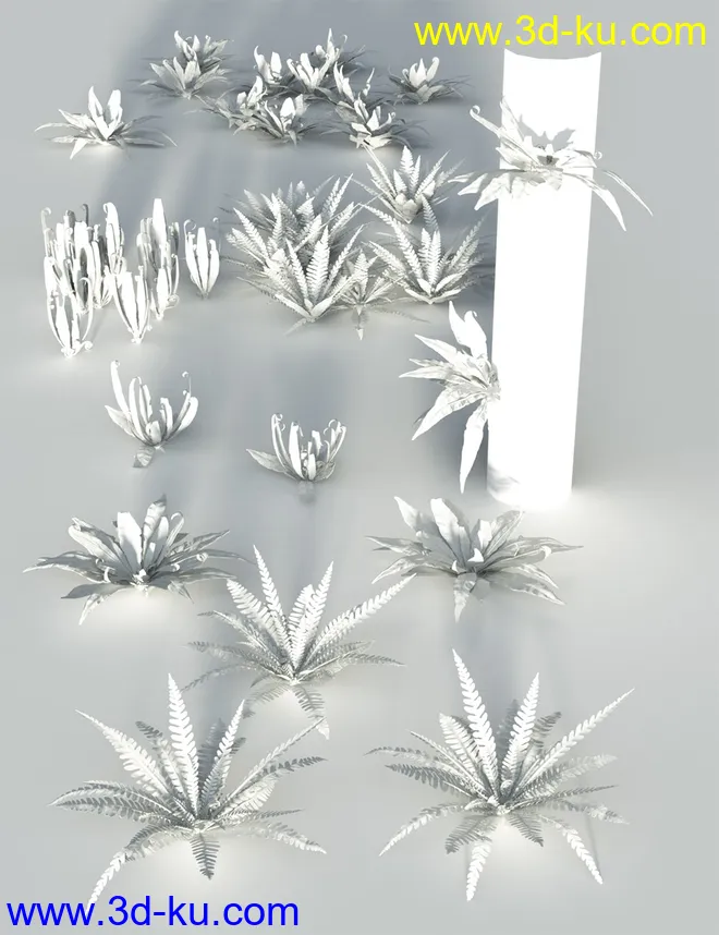 Wild Plants - Wild Ferns Volume 1模型的图片8