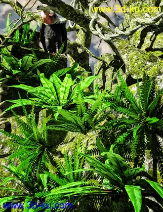 3D打印模型Wild Plants - Wild Ferns Volume 1的图片