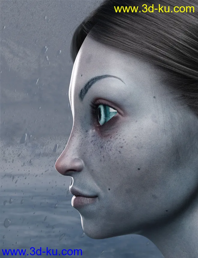 Winter Fae HD for Genesis 8 Female模型的图片3