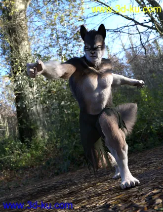 3D打印模型Wolfie and Sly Fox for Genesis 8 Male的图片