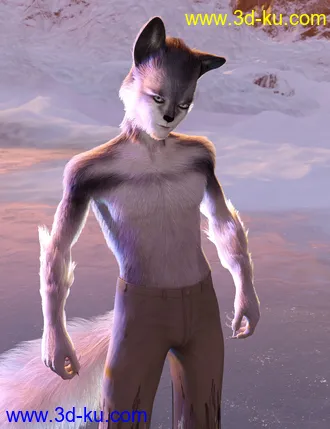 3D打印模型Wolfie and Sly Fox for Genesis 8 Male的图片
