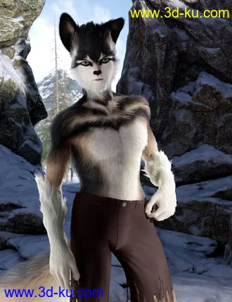 3D打印模型Wolfie and Sly Fox for Genesis 8 Male的图片