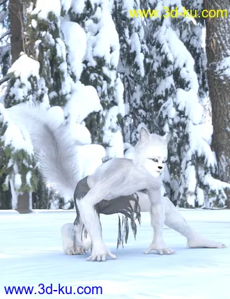 3D打印模型Wolfie and Sly Fox for Genesis 8 Male的图片