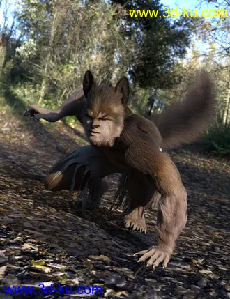 3D打印模型Wolfie and Sly Fox for Genesis 8 Male的图片