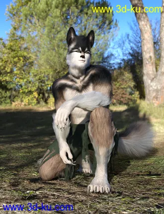 3D打印模型Wolfie and Sly Fox for Genesis 8 Male的图片