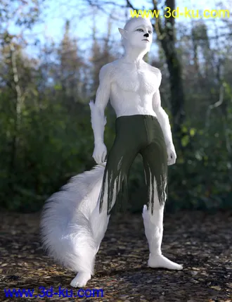 3D打印模型Wolfie and Sly Fox for Genesis 8 Male的图片