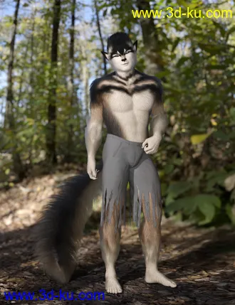3D打印模型Wolfie and Sly Fox for Genesis 8 Male的图片