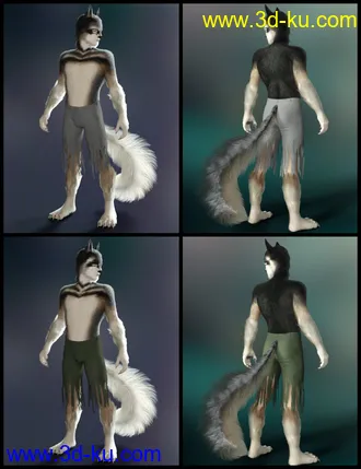 3D打印模型Wolfie and Sly Fox for Genesis 8 Male的图片
