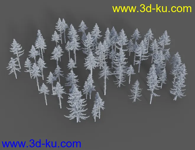 Woodland Place模型的图片11