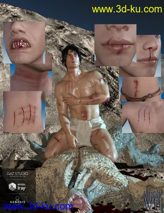 3D打印模型Wound Makeup Artist for Genesis 8的图片