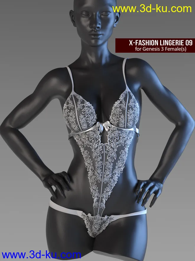 X-Fashion Lingerie 9 for Genesis 3 Females模型的图片1