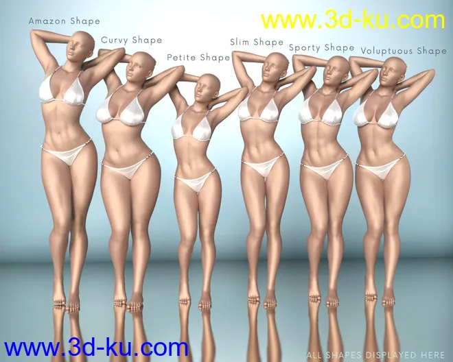 Z Beautifully Different Body Shapes and Pose Mega Set模型的图片4