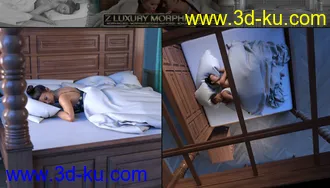 3D打印模型Z Luxury Morphing Bed and Poses的图片