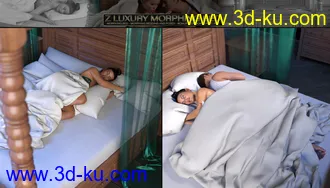 3D打印模型Z Luxury Morphing Bed and Poses的图片