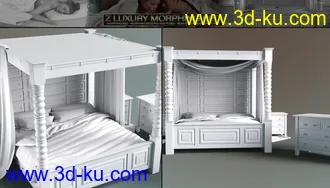 3D打印模型Z Luxury Morphing Bed and Poses的图片